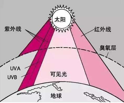 定型機(jī),涂層機(jī),地毯機(jī),地毯背膠機(jī),靜電植絨機(jī)