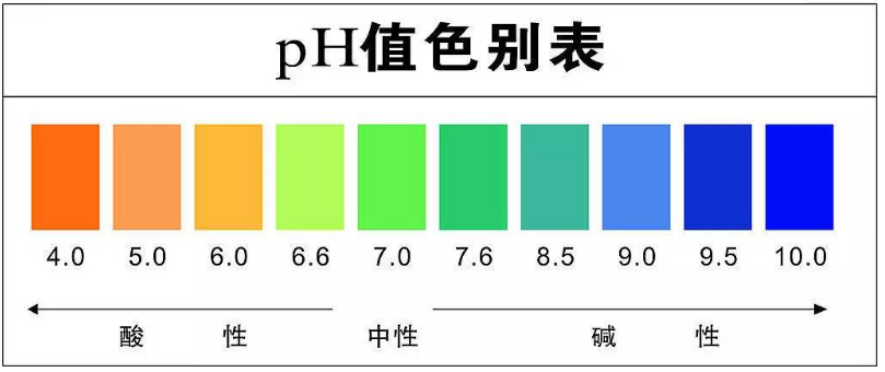 定型機,涂層機,地毯機,地毯背膠機,靜電植絨機