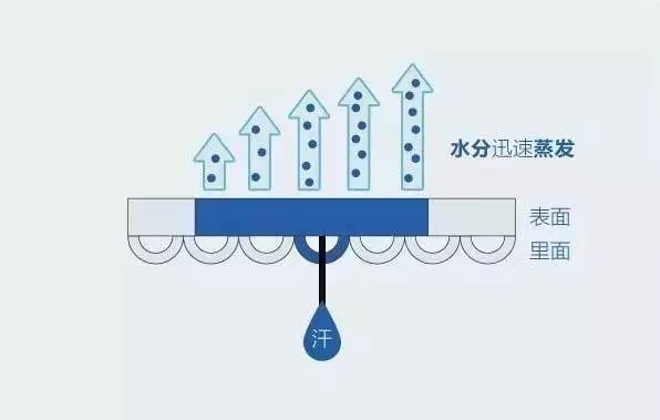 定型機(jī),涂層機(jī),地毯機(jī),地毯背膠機(jī),靜電植絨機(jī)