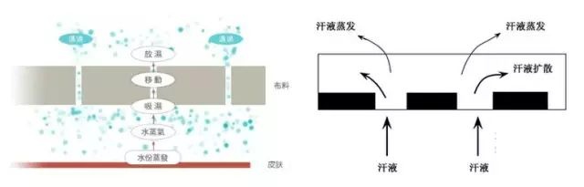 定型機(jī),涂層機(jī),地毯機(jī),地毯背膠機(jī),靜電植絨機(jī)